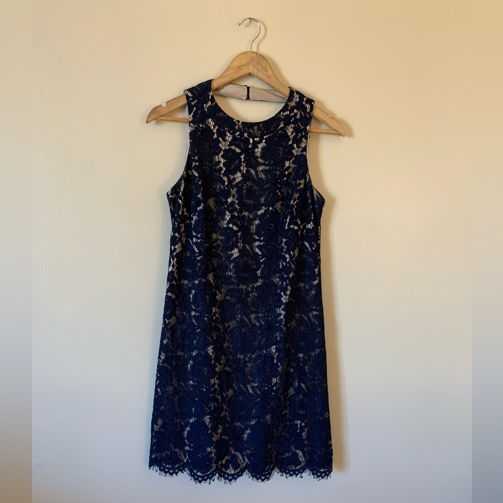 Vince Camuto Navy Blue & Tan Lace Dress Size 4